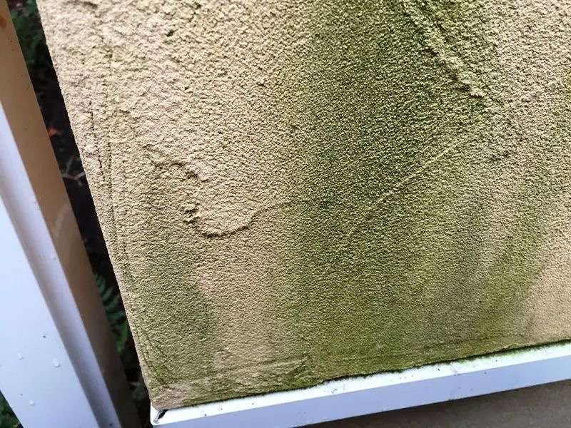 外壁のカビ等そのまま塗装するとどうなる？