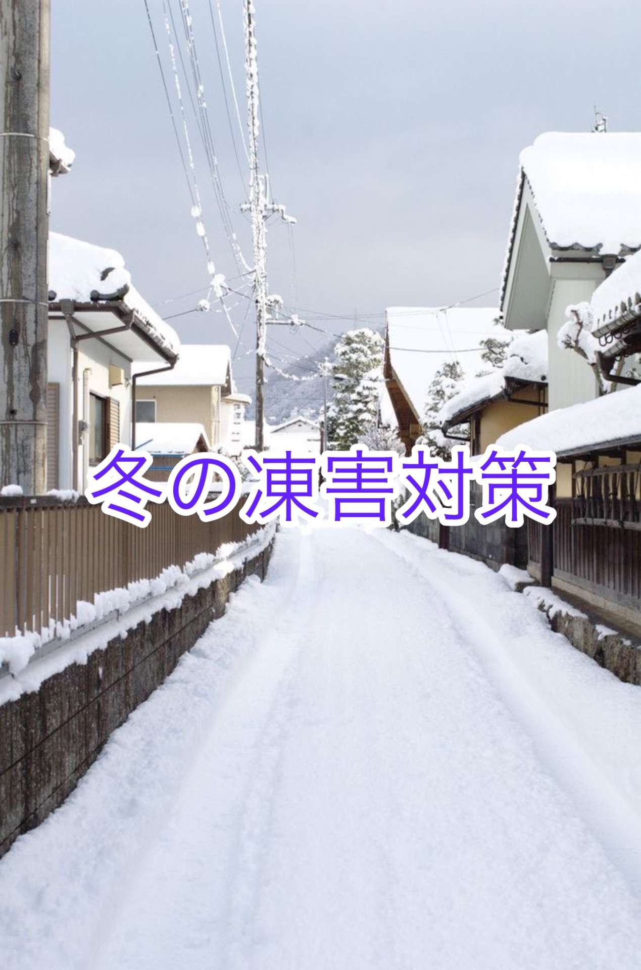 冬の凍害対策！