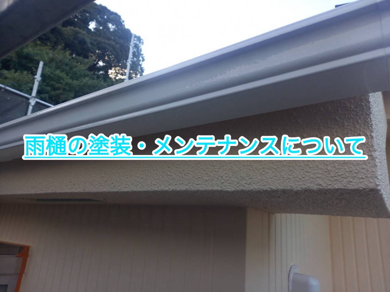 雨樋の塗装・メンテナンスについて！